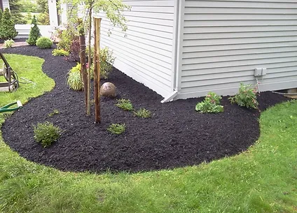 mulch